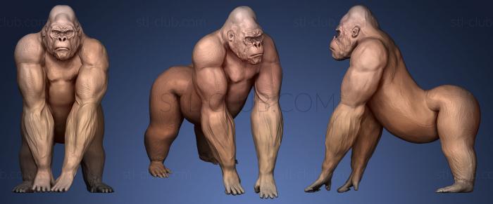 3D model Gorilla King Kong (STL)